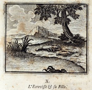 The Crevisse og hans datter. Fabler af Jean de La Fontaine (1621-95). Illustration af François Chauveau (1613-1676). Udgave af 1728. af Francois Chauveau