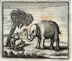 Elefanten og Jupiters aben. Fabler af Jean de La Fontaine (1621-95). Illustration af François Chauveau (1613-1676). Udgave af 1728.