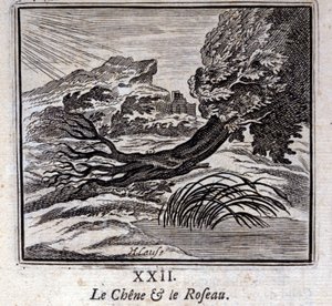 Egen og røret. Fabler af Jean de La Fontaine (1621-95). Illustration af François Chauveau (1613-1676). Udgave af 1728. af Francois Chauveau
