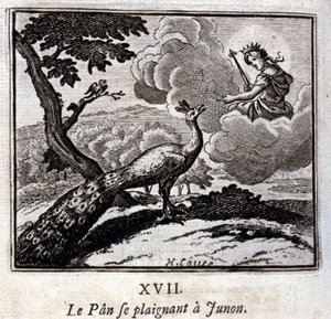 Påfuglen klager til Junon. Fabler af Jean de La Fontaine (1621-95). Illustration af François Chauveau (1613-1676). Udgave af 1728. af Francois Chauveau