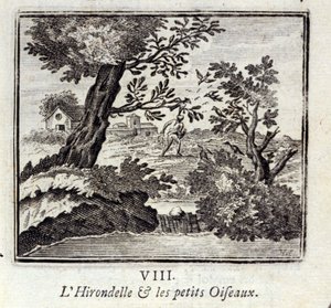 Svalen og de små fugle. Fabler af Jean de La Fontaine (1621-95). Illustration af François Chauveau (1613-1676). Udgave fra 1728. af Francois Chauveau