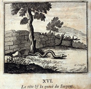 Slangens hoved og hale. Fabler af Jean de La Fontaine (1621-95). Illustration af François Chauveau (1613-1676). Udgave af 1728. af Francois Chauveau