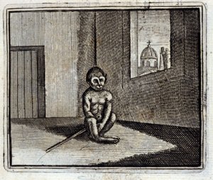 Aben. Fabler af Jean de La Fontaine (1621-95). Illustration af François Chauveau (1613-1676). Udgave fra 1728. af Francois Chauveau