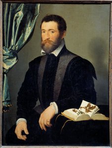 Portræt af apotekeren Pierre Quthe (1519-apres 1588) Maleri af Francois Clouet (1515-1572) 1562 Søn. 0,91x0,7 m - Portræt af apotekeren Pierre Quthe (1519- ca1588). Maleri af Francois Clouet (1515-1572) af François Clouet
