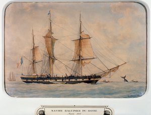 Hvalfangstskib i Havre