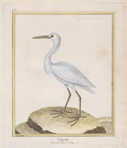 Hejren hejren, 1770-86. af Francois Nicolas Martinet