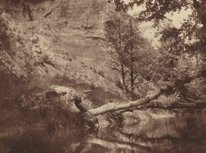 Riverbank, ca. 1855.
