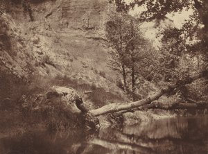 Flodbredden, ca. 1855 (foto)