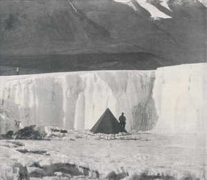 Alkovelejr i en Surface Gully of the Taylor Glacier, c1911, 1913