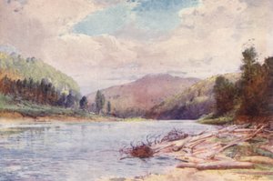 New Zealand: Below the Junction of the Buller and Inangahua Rivers (farvelitografi) af Frank H Wright