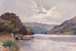 New Zealand: Morgen på Wanganui-floden (farvelitografi)