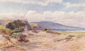 New Zealand: På stranden ved Ngunguru (farvelitografi) af Frank H Wright