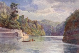 New Zealand: Tarei-po-Kiore (farvelitografi) af Frank H Wright