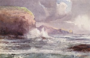 New Zealand: Te-Wenga (farvelitografi)