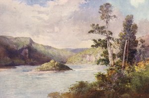 New Zealand: White Cliffs, Buller River (farvelitografi)