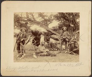 Lispenard Stewart party, #6 - 5th Ave., N.Y. med trofæer ved gammelt cedertræ, Mammoth Hot Springs, Yellowstone National Park af Frank Jay Haynes