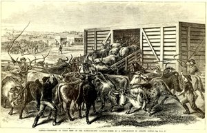 Cattle Chute i Abilene, Kansas, ca. 1871 (gravering)