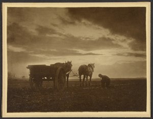 af Frank Meadow Sutcliffe