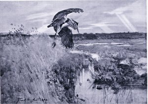 Jack Harnser-Heron af Frank Southgate