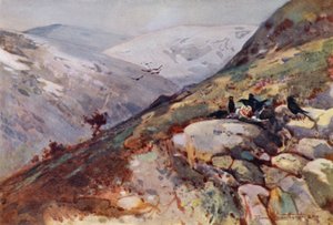 Nær Kielder (farve litho) af Frank Southgate