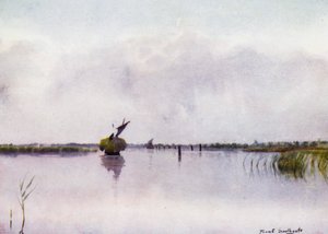 Norfolk Broads: Hay-Boat on Hickling Broaddani af Frank Southgate