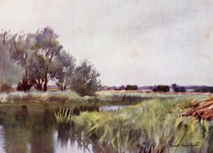 Norfolk Broads: Marsh Hay - Carting on the Yaredani af Frank Southgate