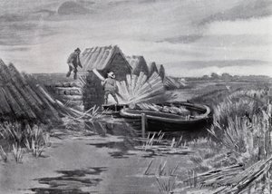 Norfolk Broads: Reed-stabling (litho) af Frank Southgate