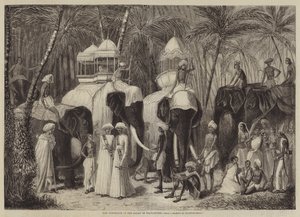Elefanterne fra Rajah af Travancore af Frank Vizetelly
