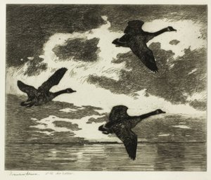 Overskyet morgen af Frank Weston Benson