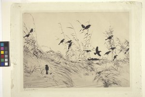 Blackbirds And Rushes (blæk på papir)
