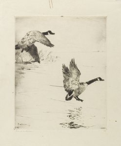 Gæs stiger af af Frank Weston Benson