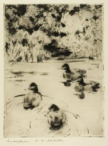 Små blåfugle af Frank Weston Benson