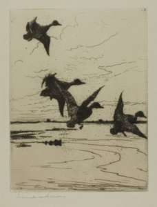 Landende Enten af Frank Weston Benson