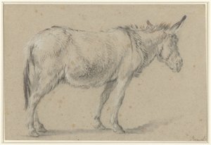 Stående æsel, vendt mod højre af François Boucher (possibly)