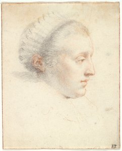 Profilportræt af en dame (sort og rød kridt med gouache på papir) af Frans II Pourbus