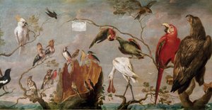 Fuglekoncertmaleri af Frans Snyders (Snijders) (1579-1657) 1600-tallet Madrid, Prado-museet