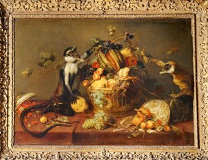 To aber plyndrer en frugtkurv ... af Frans Snyders