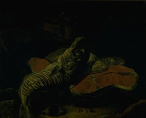 Fisk af Frans van