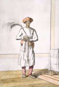 Piskerisbærer, fra 