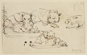 Snurrende Sundapanthers af Franz Barwig d. Ä.