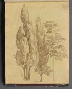Album med udsigt over Rom og omgivelser, Landskabsstudier, side 15a: Træer. af Franz Johann Heinrich Nadorp