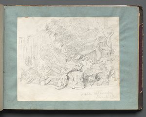 Album med udsigt over Rom og omgivelser, Landskabsstudier, side 24a: I Villa Walkonsky. af Franz Johann Heinrich Nadorp
