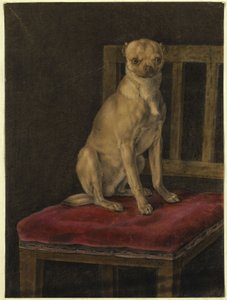 Mops af Franz Krüger