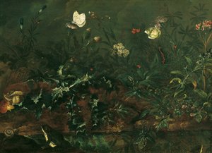 Plænestykke med tidsel, frøer og guldsmede af Franz Michael Siegmund von Purgau d. Ä.