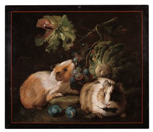 Romersk mikromosaikpanel, der viser to marsvin, der spiser kål og druer, 1800-25 af Franz Werner von Tamm