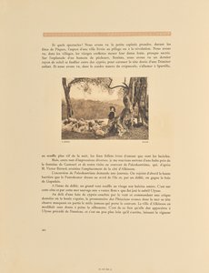 Korfu. Olivenlund af Frédéric Boissonnas