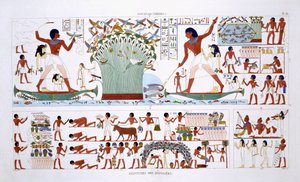 Forberedelse af mad til døde, fra en sjælden optegnelse af fresker fra Theben, optaget 1819-1822 på sit andet besøg i Egypten af Frederic Cailliaud (1787-1869), farve litho af Frederic (after) Cailliaud