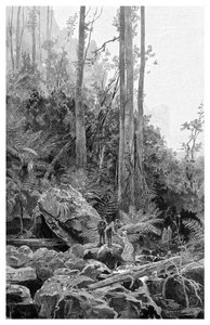 En kløft i Blue Mountains, Australien, 1886.