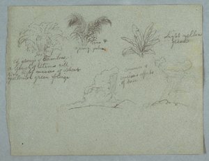 Bambus, vin og en ung palme, plante og to scener med regn, der falder fra skyer over højderygge, Rio Magdalena, Colombia af Frederic Edwin Church