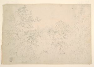 Kastanjetræer ved vandkanten af Frederic Edwin Church